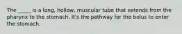 The _____ is a long, hollow, muscular tube that extends from the pharynx to the stomach. It's the pathway for the bolus to enter the stomach.