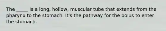 The _____ is a long, hollow, muscular tube that extends from <a href='https://www.questionai.com/knowledge/ktW97n6hGJ-the-pharynx' class='anchor-knowledge'>the pharynx</a> to <a href='https://www.questionai.com/knowledge/kLccSGjkt8-the-stomach' class='anchor-knowledge'>the stomach</a>. It's the pathway for the bolus to enter the stomach.