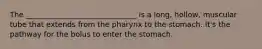 The ______________________________ is a long, hollow, muscular tube that extends from the pharynx to the stomach. It's the pathway for the bolus to enter the stomach.
