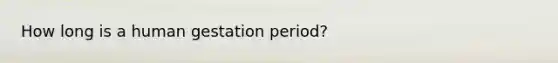 How long is a human gestation period?