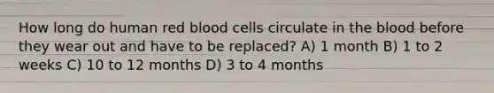 How long do human red blood cells circulate in the blood before they wear out and have to be replaced? A) 1 month B) 1 to 2 weeks C) 10 to 12 months D) 3 to 4 months