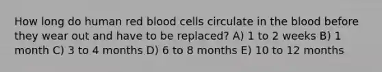 How long do human red blood cells circulate in the blood before they wear out and have to be replaced? A) 1 to 2 weeks B) 1 month C) 3 to 4 months D) 6 to 8 months E) 10 to 12 months