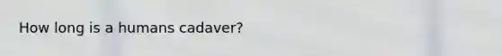 How long is a humans cadaver?