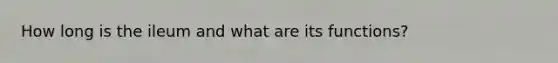 How long is the ileum and what are its functions?