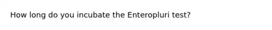 How long do you incubate the Enteropluri test?