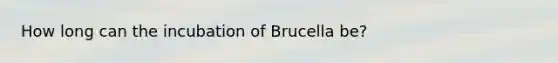 How long can the incubation of Brucella be?