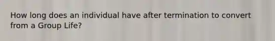 How long does an individual have after termination to convert from a Group Life?