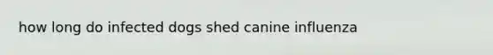 how long do infected dogs shed canine influenza