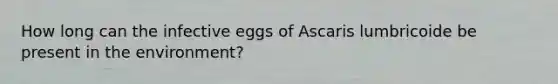 How long can the infective eggs of Ascaris lumbricoide be present in the environment?