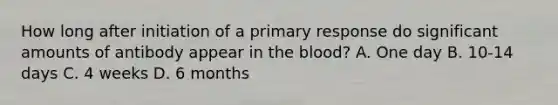 How long after initiation of a primary response do significant amounts of antibody appear in the blood? A. One day B. 10-14 days C. 4 weeks D. 6 months