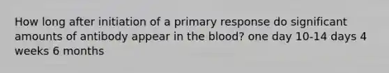 How long after initiation of a primary response do significant amounts of antibody appear in the blood? one day 10-14 days 4 weeks 6 months