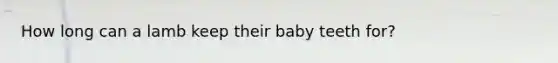 How long can a lamb keep their baby teeth for?