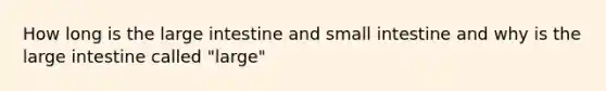 How long is the large intestine and small intestine and why is the large intestine called "large"