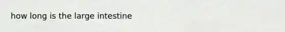 how long is the <a href='https://www.questionai.com/knowledge/kGQjby07OK-large-intestine' class='anchor-knowledge'>large intestine</a>