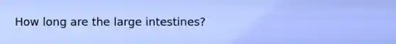 How long are the <a href='https://www.questionai.com/knowledge/kGQjby07OK-large-intestine' class='anchor-knowledge'>large intestine</a>s?