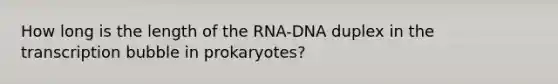 How long is the length of the RNA-DNA duplex in the transcription bubble in prokaryotes?