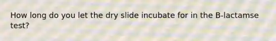 How long do you let the dry slide incubate for in the B-lactamse test?