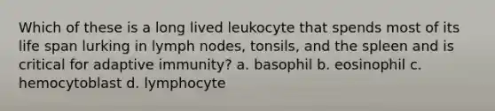 Which of these is a long lived leukocyte that spends most of its life span lurking in lymph nodes, tonsils, and the spleen and is critical for adaptive immunity? a. basophil b. eosinophil c. hemocytoblast d. lymphocyte