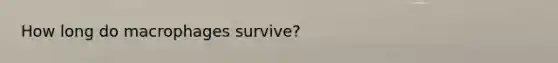 How long do macrophages survive?