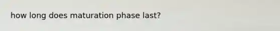 how long does maturation phase last?