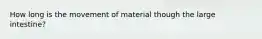 How long is the movement of material though the large intestine?