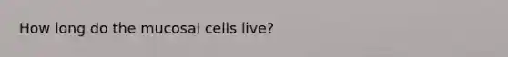 How long do the mucosal cells live?