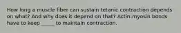 How long a muscle fiber can sustain tetanic contraction depends on what? And why does it depend on that? Actin-myosin bonds have to keep _____ to maintain contraction.
