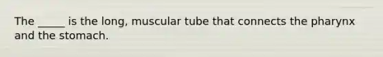 The _____ is the long, muscular tube that connects the pharynx and the stomach.