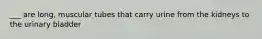 ___ are long, muscular tubes that carry urine from the kidneys to the urinary bladder