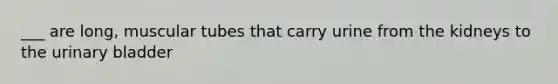 ___ are long, muscular tubes that carry urine from the kidneys to the urinary bladder