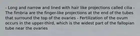 - Long and narrow and lined with hair like projections called cilia - The fimbria are the finger-like projections at the end of the tubes that surround the top of the ovaries - Fertilization of the ovum occurs in the upper-third, which is the widest part of the fallopian tube near the ovaries