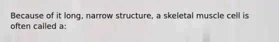 Because of it long, narrow structure, a skeletal muscle cell is often called a: