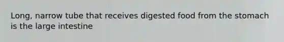 Long, narrow tube that receives digested food from <a href='https://www.questionai.com/knowledge/kLccSGjkt8-the-stomach' class='anchor-knowledge'>the stomach</a> is the <a href='https://www.questionai.com/knowledge/kGQjby07OK-large-intestine' class='anchor-knowledge'>large intestine</a>