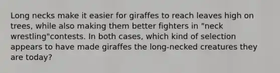 Long necks make it easier for giraffes to reach leaves high on trees, while also making them better fighters in "neck wrestling"contests. In both cases, which kind of selection appears to have made giraffes the long-necked creatures they are today?