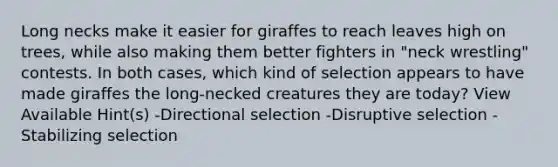 Long necks make it easier for giraffes to reach leaves high on trees, while also making them better fighters in "neck wrestling" contests. In both cases, which kind of selection appears to have made giraffes the long-necked creatures they are today? View Available Hint(s) -Directional selection -Disruptive selection -Stabilizing selection