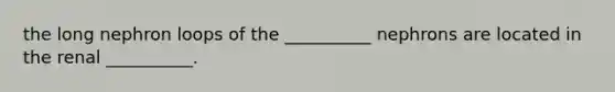 the long nephron loops of the __________ nephrons are located in the renal __________.