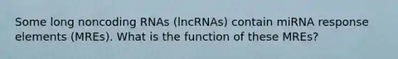 Some long noncoding RNAs (lncRNAs) contain miRNA response elements (MREs). What is the function of these MREs?