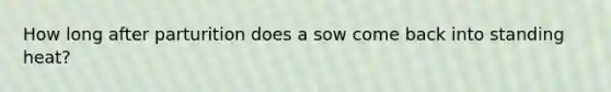 How long after parturition does a sow come back into standing heat?