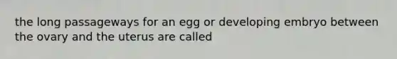 the long passageways for an egg or developing embryo between the ovary and the uterus are called