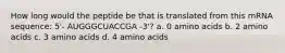 How long would the peptide be that is translated from this mRNA sequence: 5'- AUGGGCUACCGA -3'? a. 0 amino acids b. 2 amino acids c. 3 amino acids d. 4 amino acids