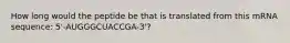 How long would the peptide be that is translated from this mRNA sequence: 5'-AUGGGCUACCGA-3'?