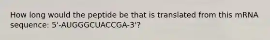 How long would the peptide be that is translated from this mRNA sequence: 5'-AUGGGCUACCGA-3'?