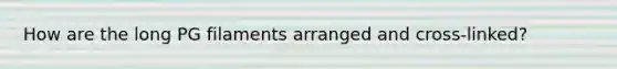 How are the long PG filaments arranged and cross-linked?