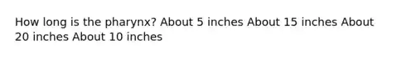 How long is the pharynx? About 5 inches About 15 inches About 20 inches About 10 inches