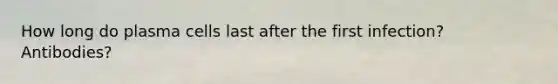 How long do plasma cells last after the first infection? Antibodies?