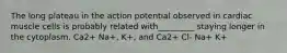 The long plateau in the action potential observed in cardiac muscle cells is probably related with_________ staying longer in the cytoplasm. Ca2+ Na+, K+, and Ca2+ Cl- Na+ K+