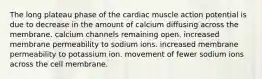 The long plateau phase of the cardiac muscle action potential is due to decrease in the amount of calcium diffusing across the membrane. calcium channels remaining open. increased membrane permeability to sodium ions. increased membrane permeability to potassium ion. movement of fewer sodium ions across the cell membrane.