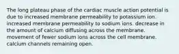 The long plateau phase of the cardiac muscle action potential is due to increased membrane permeability to potassium ion. increased membrane permeability to sodium ions. decrease in the amount of calcium diffusing across the membrane. movement of fewer sodium ions across the cell membrane. calcium channels remaining open.