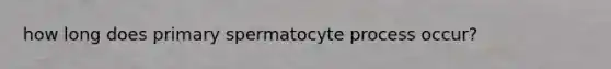 how long does primary spermatocyte process occur?