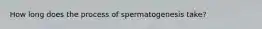 How long does the process of spermatogenesis take?